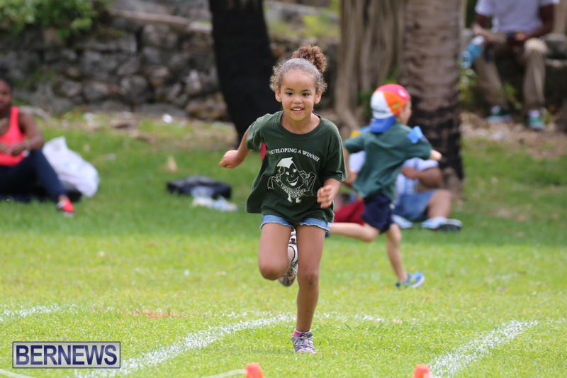 Devonshire-Preschool-Sports-Bermuda-May-22-2015-206
