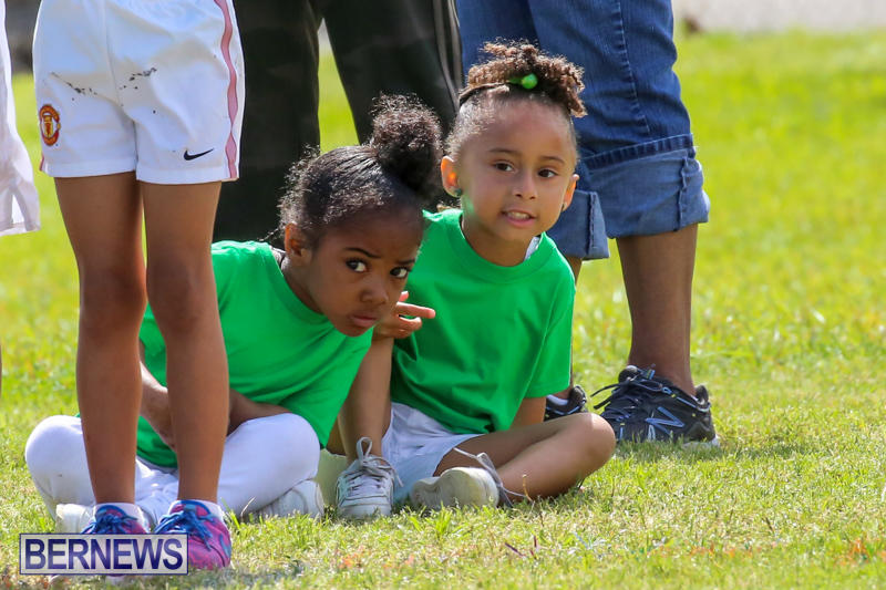 Prospect-Preschool-Sports-Day-Bermuda-May-1-2015-12