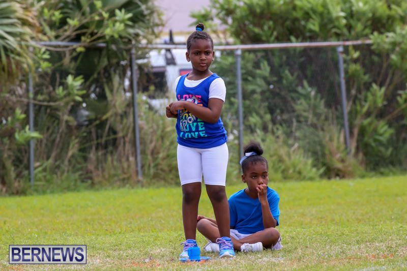 Prospect-Preschool-Sports-Day-Bermuda-May-1-2015-50