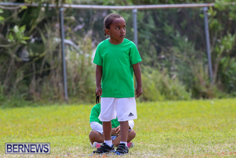 Prospect-Preschool-Sports-Day-Bermuda-May-1-2015-61