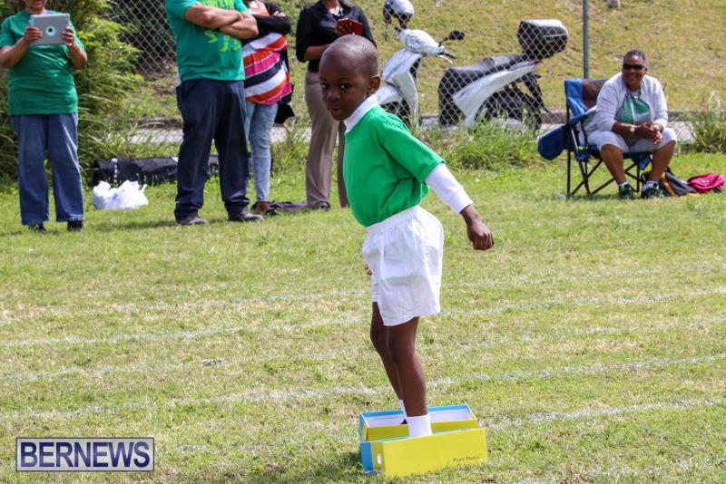 Prospect-Preschool-Sports-Day-Bermuda-May-1-2015-80