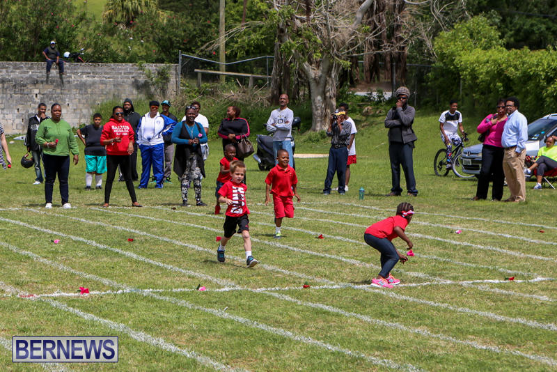 Prospect-Preschool-Sports-Day-Bermuda-May-1-2015-98