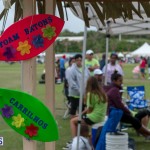 Relay For Life 2015-05-30 (20)