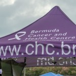 Relay For Life 2015-05-30 (36)