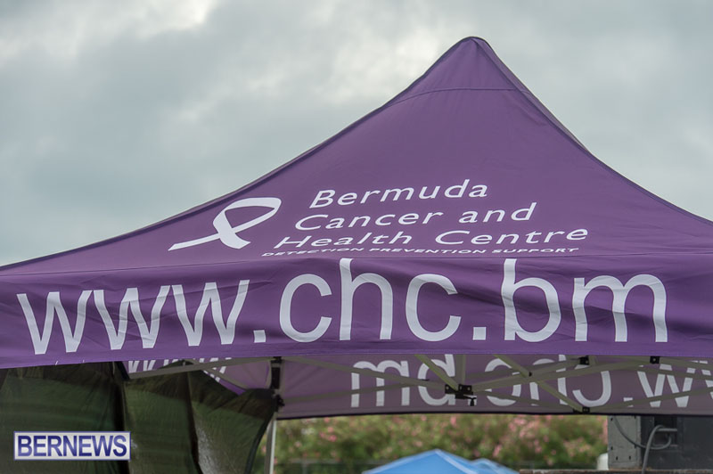 Relay-For-Life-2015-05-30-36