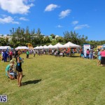 Somersfield Academy Fair Bermuda, May 16 2015-74