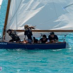fitted-dingy-races-st-george-may-2015-26