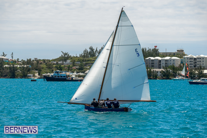 fitted-dingy-races-st-george-may-2015-28