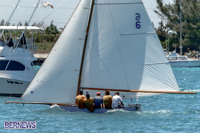fitted-dingy-races-st-george-may-2015-35