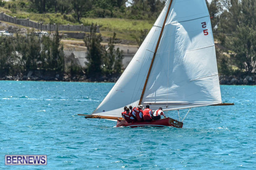 fitted-dingy-races-st-george-may-2015-37