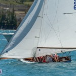 fitted-dingy-races-st-george-may-2015-40