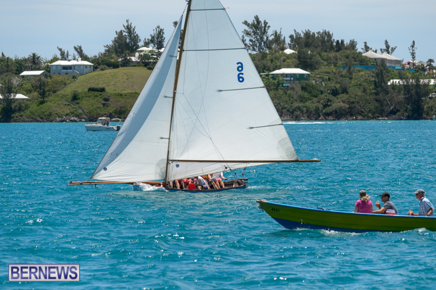 fitted-dingy-races-st-george-may-2015-44