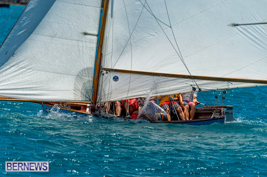 fitted-dingy-races-st-george-may-2015-47