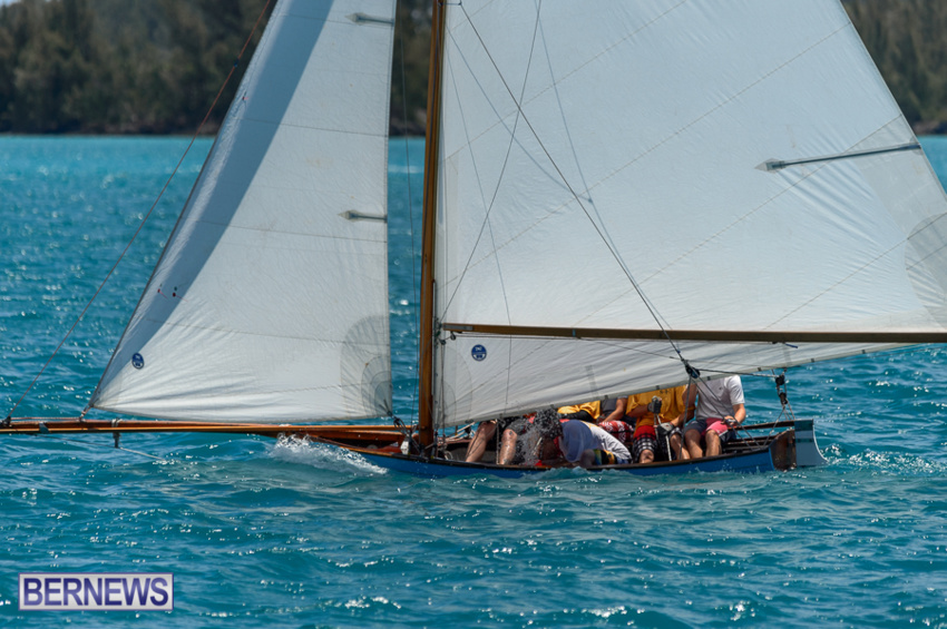 fitted-dingy-races-st-george-may-2015-52
