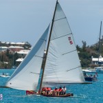 fitted-dingy-races-st-george-may-2015-54