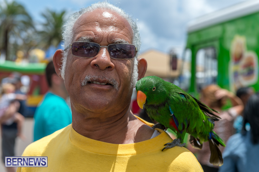 jm-bermuda-day-parade-2015-8