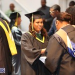 Berkeley Graduation Bermuda, June 25 2015-166