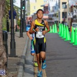 Tokio Millenium Re Triathlon Juniors Bermuda, May 31 2015-3