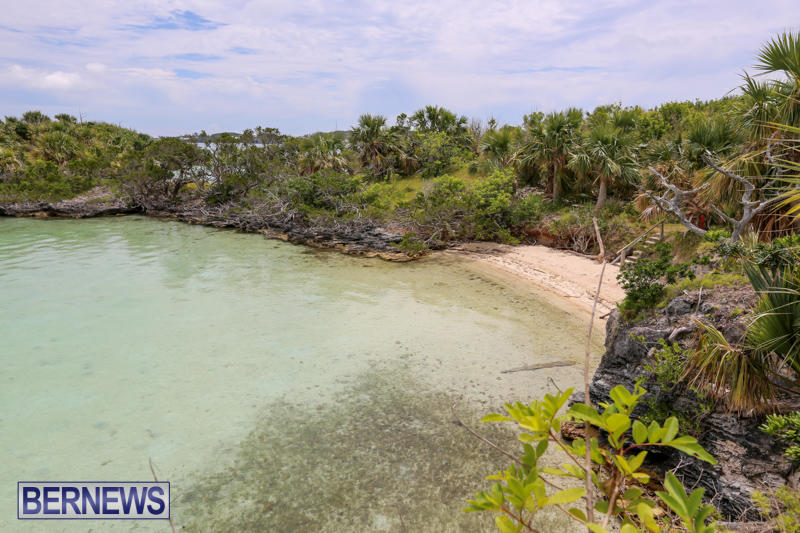 Trunk-Island-Bermuda-June-16-2015-19