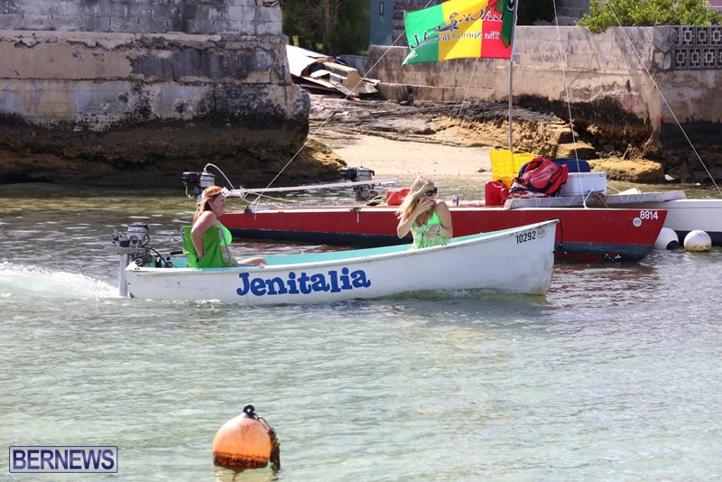 seagull-race-bermuda-june-2015-53