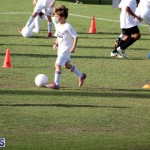 140 Youth Footballers Attend Soccer Clinic July 9 2015 (13)