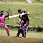 Cricket Premier & First Division July 1 2015 (14)