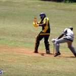 Cricket Premier & First Division July 1 2015 (2)