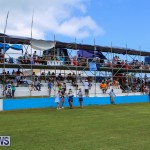 Cup Match Day 2 Bermuda, July 31 2015-39