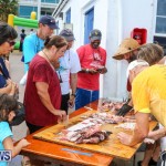 Groundswell Lionfish Tournament Bermuda, July 18 2015-11