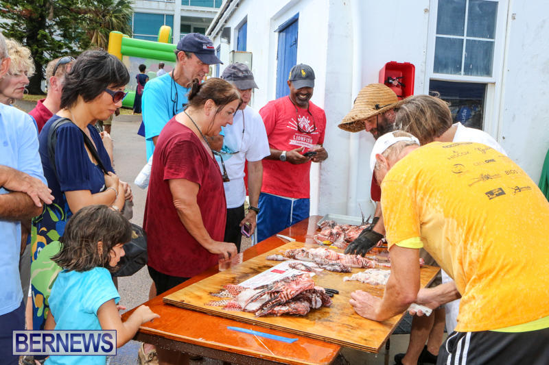 Groundswell-Lionfish-Tournament-Bermuda-July-18-2015-11