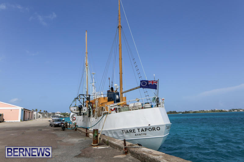 Tiare Taporo In Bermuda, July 15 2015-4