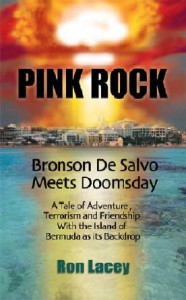 pinkrockbookcover