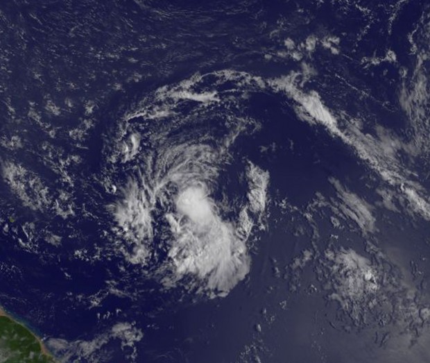 erika-goes-8-2515