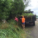 Bermuda clean up sept 2015 (22)