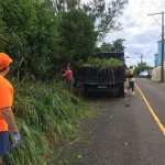 Bermuda clean up sept 2015 (24)