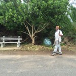 Bermuda clean up sept 2015 (4)