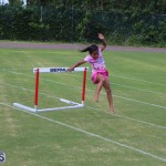 Youth Sports Expo Held At Sports Centre Bermuda September 2015 (18)