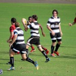 Rugby October 14 2015 (10)