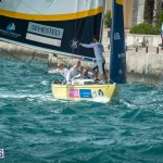argo-group-gold-cup-sailing-153