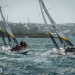 argo-group-gold-cup-sailing-80