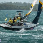argo-group-gold-cup-sailing-94