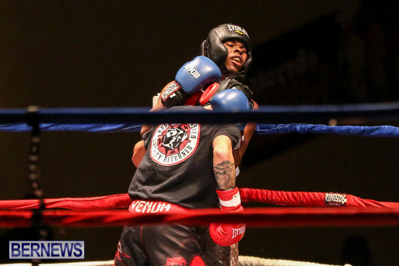 Andre Lambe vs Shane Mello Boxing Match Bermuda, November 7 2015-10