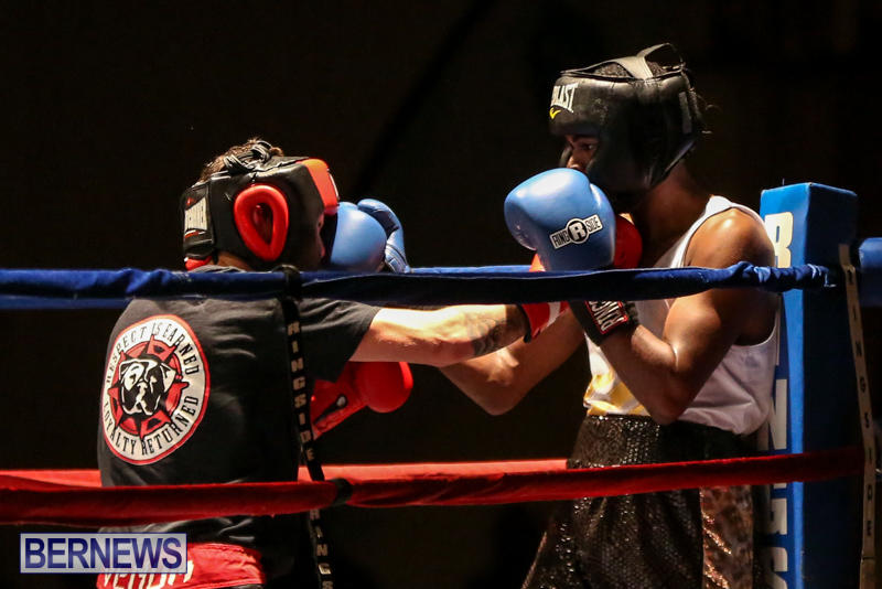 Andre Lambe vs Shane Mello Boxing Match Bermuda, November 7 2015-13