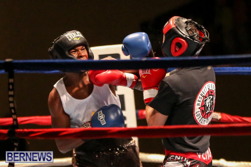 Andre Lambe vs Shane Mello Boxing Match Bermuda, November 7 2015-7
