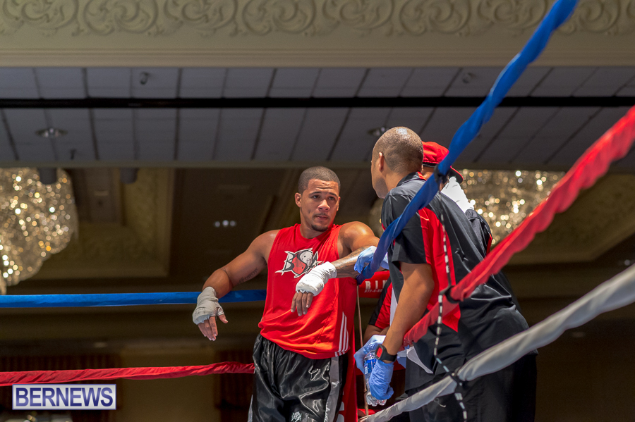 Bermuda-Boxing-JM-Nov-2015-10