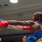 Bermuda Boxing JM Nov 2015 (121)