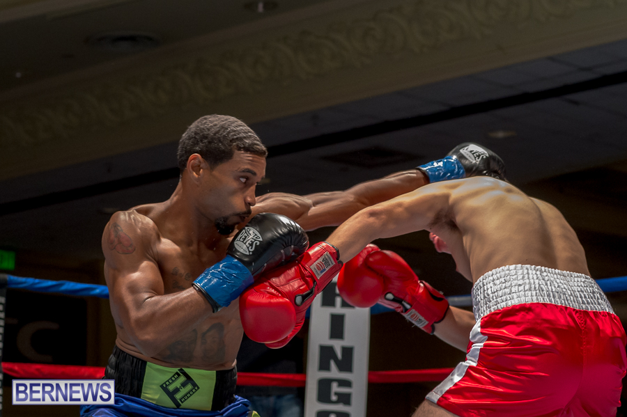 Bermuda-Boxing-JM-Nov-2015-134