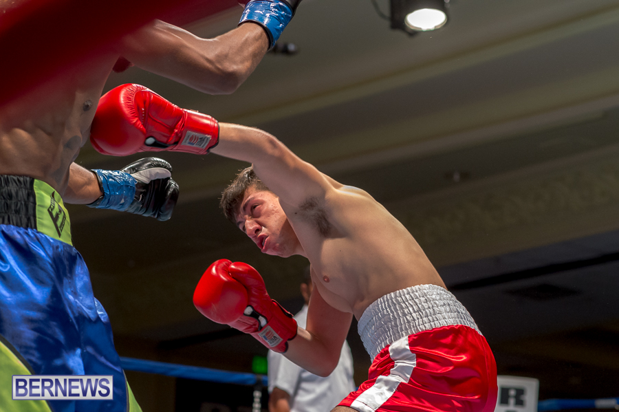 Bermuda-Boxing-JM-Nov-2015-138