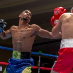 Bermuda Boxing JM Nov 2015 (139)