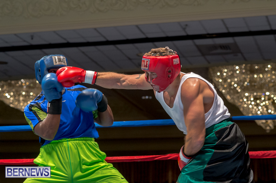 Bermuda-Boxing-JM-Nov-2015-14